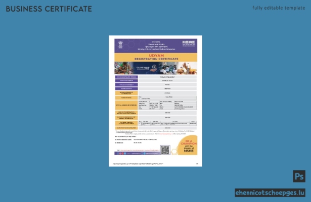 India Udyam Registrierungszertifikat (Word und PDF), Version 2 – Beispielvorschau
